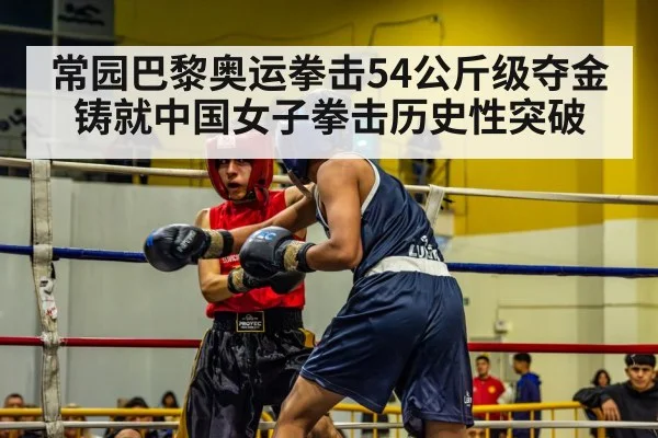 boxing match action punch
