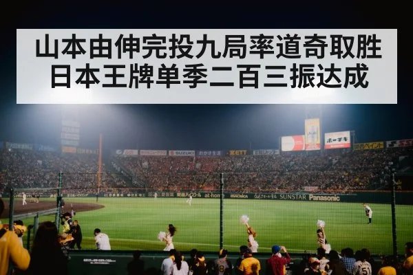 baseball stadium night